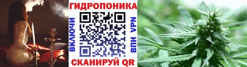Конопля OG Kush  как найти наркотики  Дагестанские Огни 